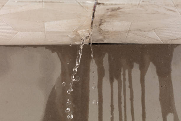 Professional Structural Drying technician working in Buckingham, FL